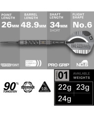 Target Dimitri Van Den Bergh X Echo Swiss Darts
