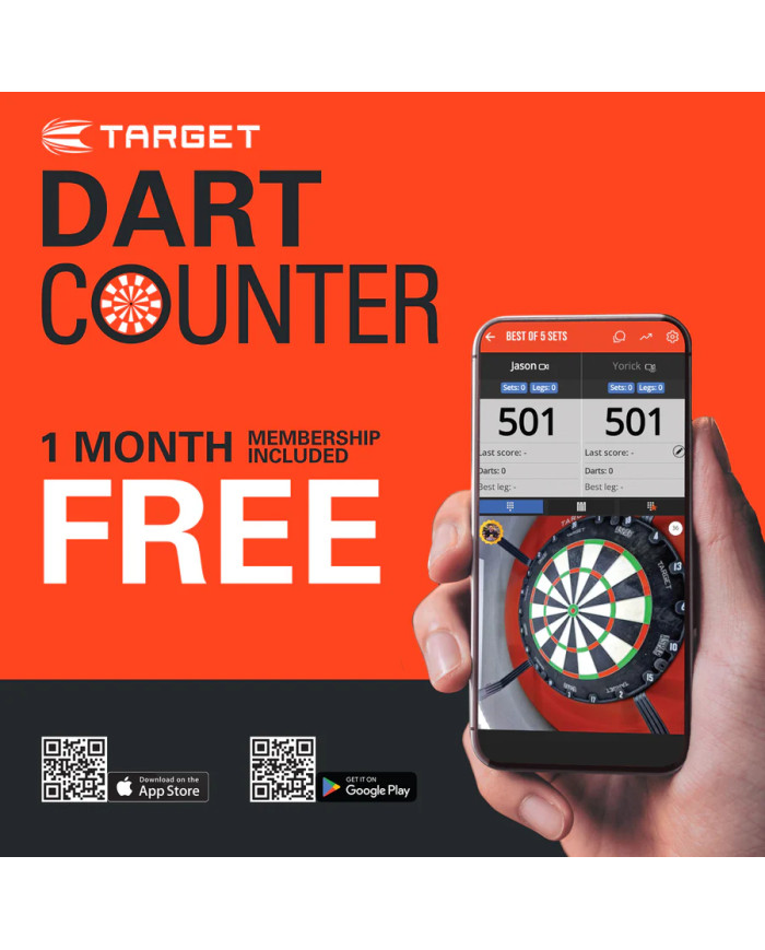 Target Raymond Van Barneveld Chrono Darts