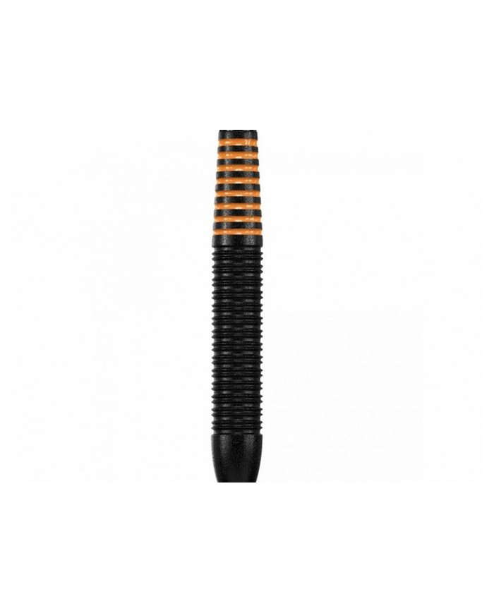 Target Raymond Van Barneveld RVB Black Coated Brass Darts