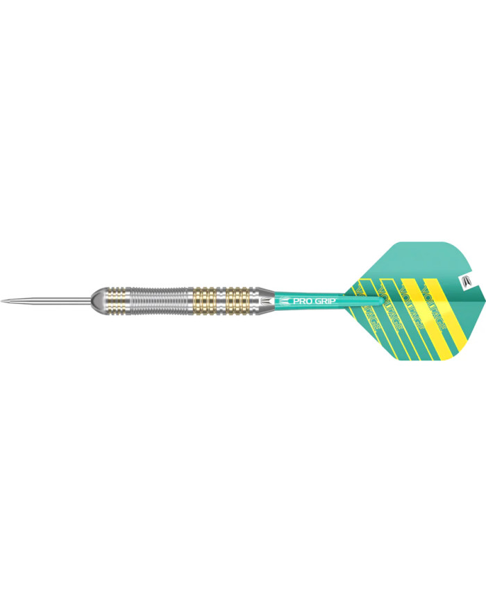Target Rob Cross 22 Piece Brass Dart Set 22g