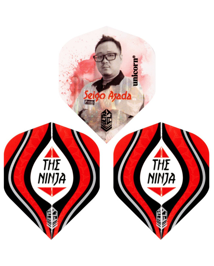 Unicorn Ultrafly .100 Seigo Asada- Big Wing Flights