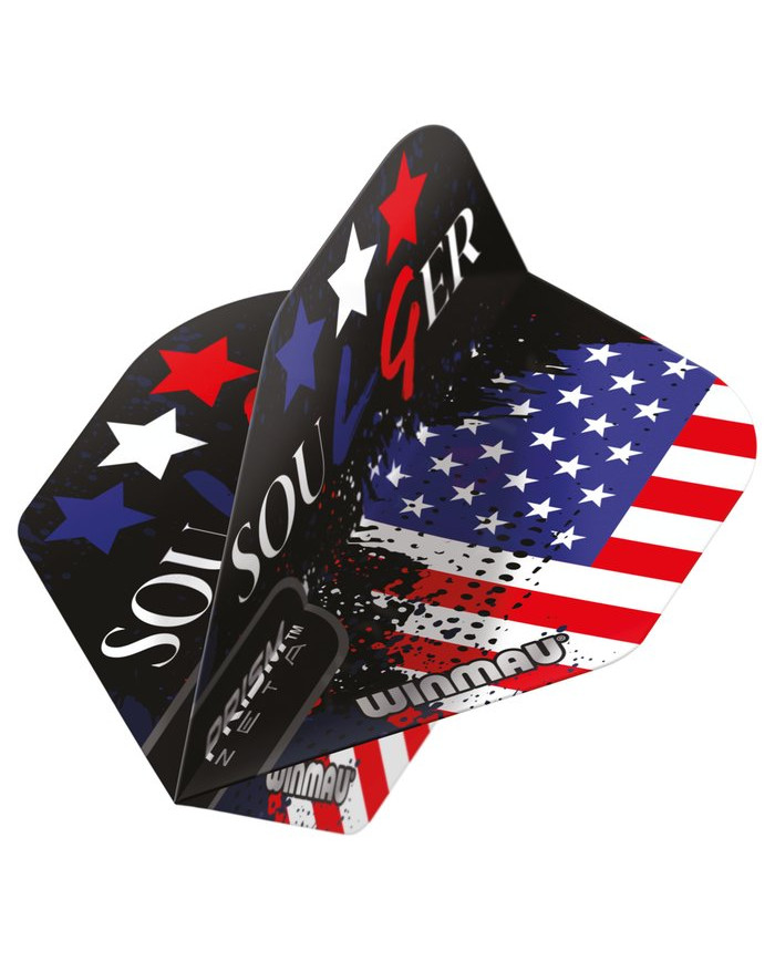 Winmau Prism Zeta Leonard Gates Standard Flights