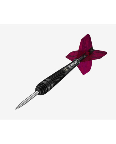 Target Lorraine Winstanley Darts 24g