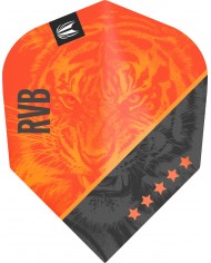 Target Pro Ultra Raymond Van Barneveld G4 No.6 Flights