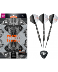 Target Raymond Van Barneveld RVB95 x Echo Darts