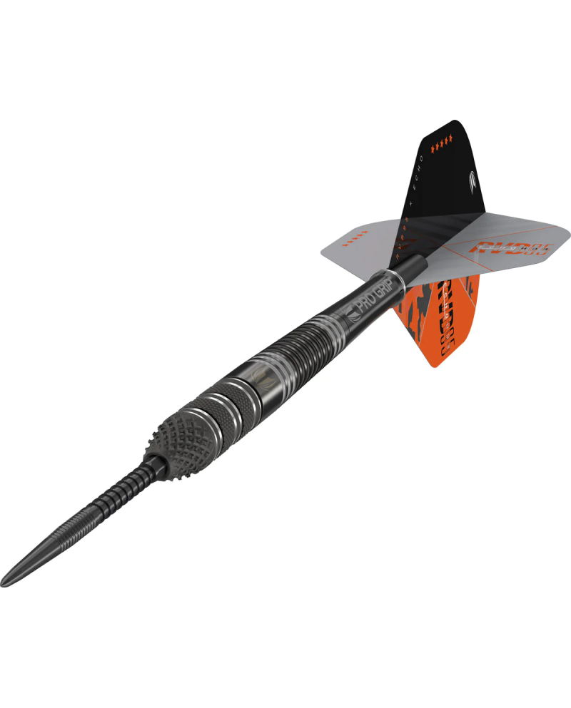 Target Raymond Van Barneveld RVB95 x Echo Darts
