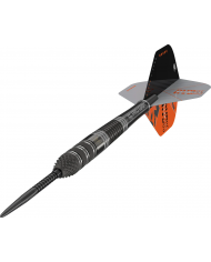 Target Raymond Van Barneveld RVB95 x Echo Darts