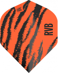 Target Pro Ultra Flights - Raymond Van Barneveld Brass Pro No2