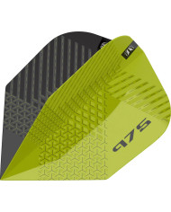 Target Vision Ultra 975 No6 Flight