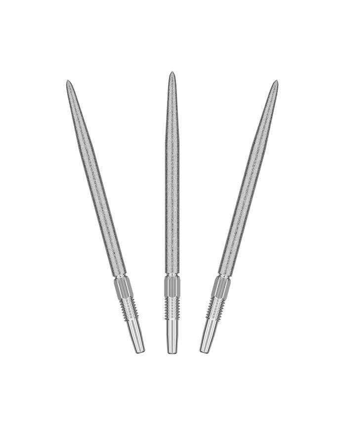 Target Swiss SLK Point Silver 2025