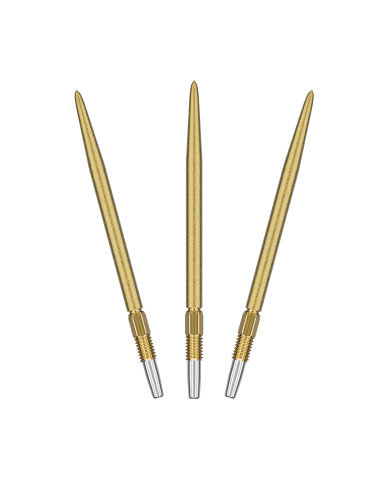 Target Swiss SLK Point Gold 2025