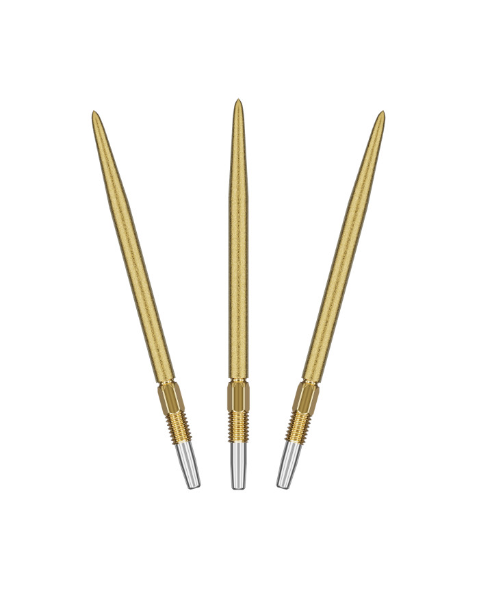 Target Swiss SLK Point Gold 2025