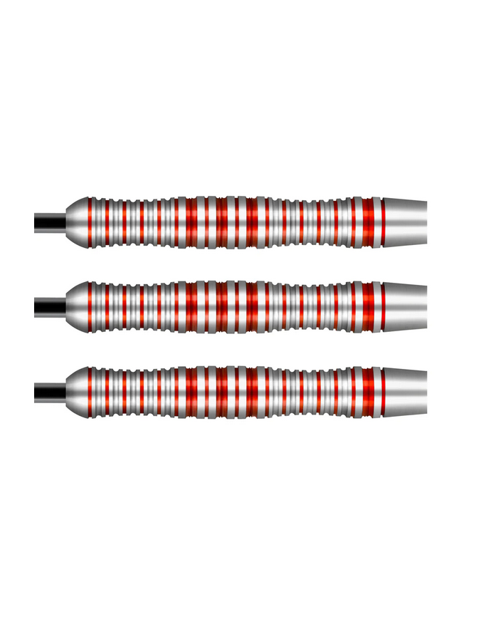 SHOT Zen Enso Steel Tip Darts