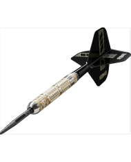 Dimitri Van den Bergh 95k Darts