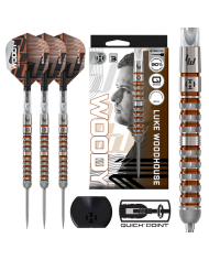 Luke Woodhouse Series 3 90% Darts