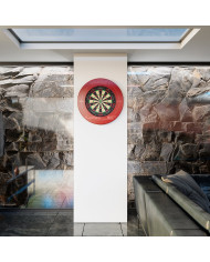 Target Tor Dartboard