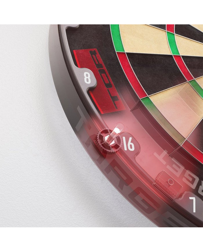 Target Tor Dartboard