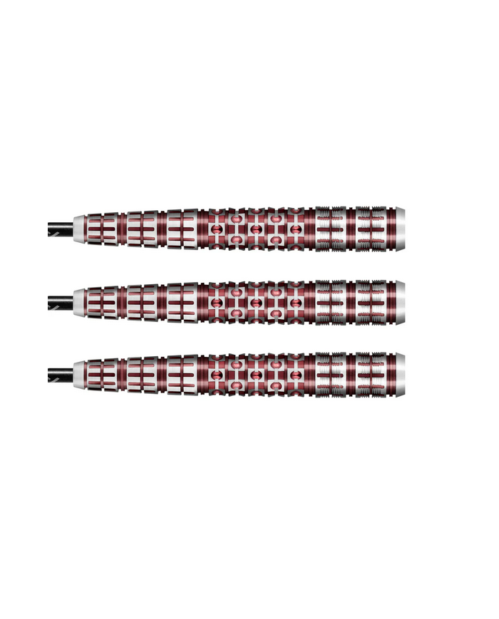 SHOT Viking Rannsaka Steel Tip Darts