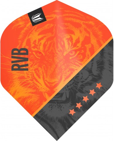 Target Pro Ultra Raymond Van Barneveld G4 No.2 Flights
