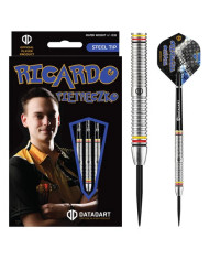 Datadart Ricardo Pietreczko Darts 80%Tungsten Steel Tip - 25g